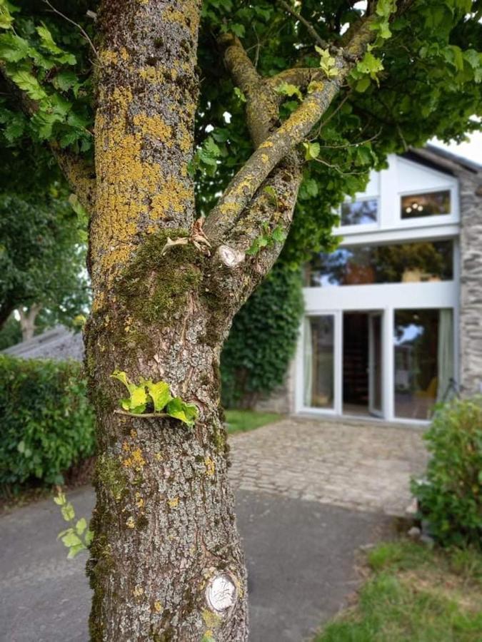 Lî Gurni Villa Houffalize Exterior foto